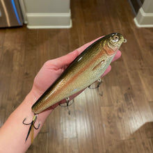 Load image into Gallery viewer, 6" Sly Dog