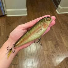 Load image into Gallery viewer, 6" Sly Dog