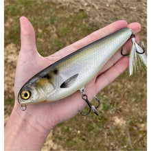 Load image into Gallery viewer, 6" Sly Dog