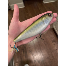 Load image into Gallery viewer, 6" Sly Dog