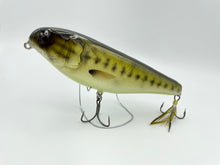 Load image into Gallery viewer, 6" Sly Dog