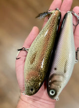 Load image into Gallery viewer, 6" Sly Dog