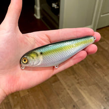 Load image into Gallery viewer, 6" Sly Dog