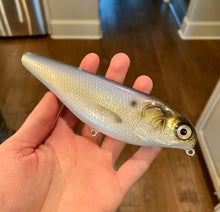 Load image into Gallery viewer, 6" Sly Dog