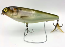 Load image into Gallery viewer, 6" Sly Dog