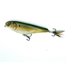 Load image into Gallery viewer, 6" Sly Dog