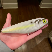 Load image into Gallery viewer, 6" Sly Dog