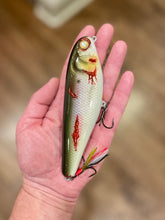 Load image into Gallery viewer, 6" Sly Dog
